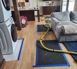 Sewage Damage Cleanup Centennial